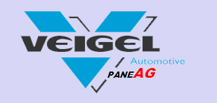 logo veigel